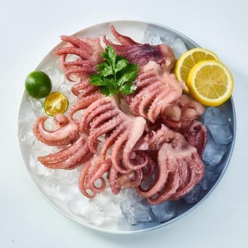 Frozen Squid Head