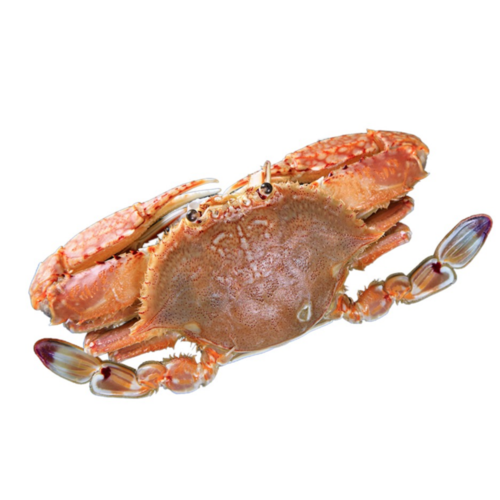 Frozen Red Swimming Crab Whole